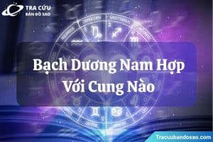 Trong tình yêu, Bạch Dương nam hợp với người cuốn hút, độc lập và biết khơi dậy tinh thần chinh phục của anh.