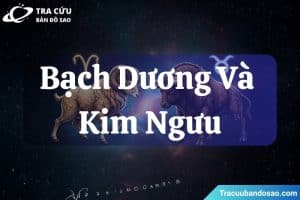 Bạch Dương và Kim Ngưu có hợp nhau không? Giải mã độ hợp trong tình yêu, tình bạn, công việc