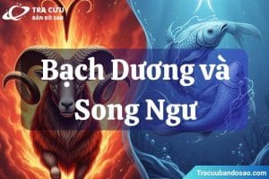 Bạch Dương và Song Ngư là cặp đôi có thể bị cuốn hút bởi sự khác biệt nhưng cũng dễ mâu thuẫn nếu không biết dung hòa cảm xúc và lý trí.