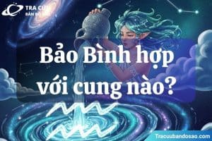 Bảo Bình hợp với cung nào nhất? Họ dễ hòa hợp với cung hoàng đạo có cùng tư duy tự do và sáng tạo như Song Tử, Thiên Bình và Nhân Mã.