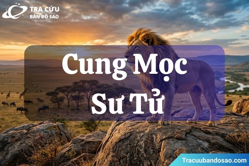 Cung Mọc Sư Tử là vị trí Sư Tử khi bạn sinh ra, thể hiện cách bạn xuất hiện trước người khác với sự tự tin, nổi bật và khí chất lãnh đạo. Cung Mọc Sư Tử là vị trí Sư Tử khi bạn sinh ra, thể hiện cách bạn xuất hiện trước người khác với sự tự tin, nổi bật và khí chất lãnh đạo.