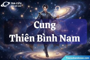 Cung Thiên Bình nam